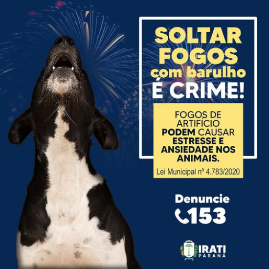 Fogos de artifício com barulho, não!
